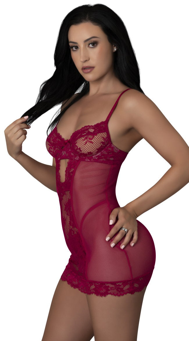 Sheer Lace and Mesh Chemise