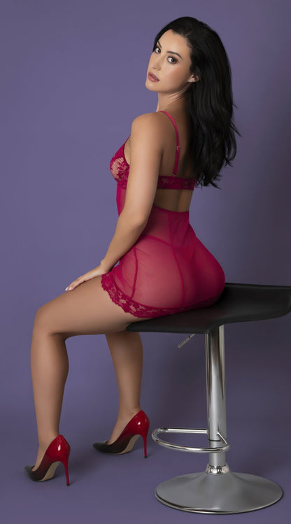 Sheer Lace and Mesh Chemise
